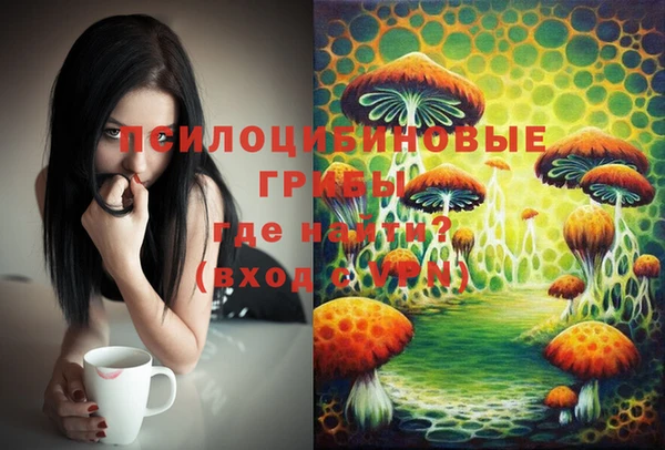 хмурый Балабаново