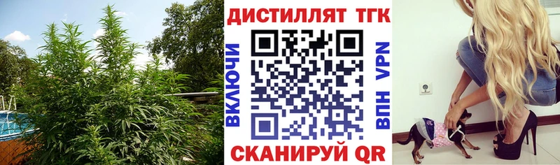 сколько стоит маркетплейс телеграм Дистиллят ТГК жижа Краснослободск